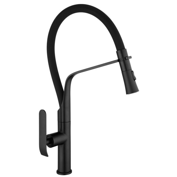 Robinet de cuisine Rea Castor Black Mat