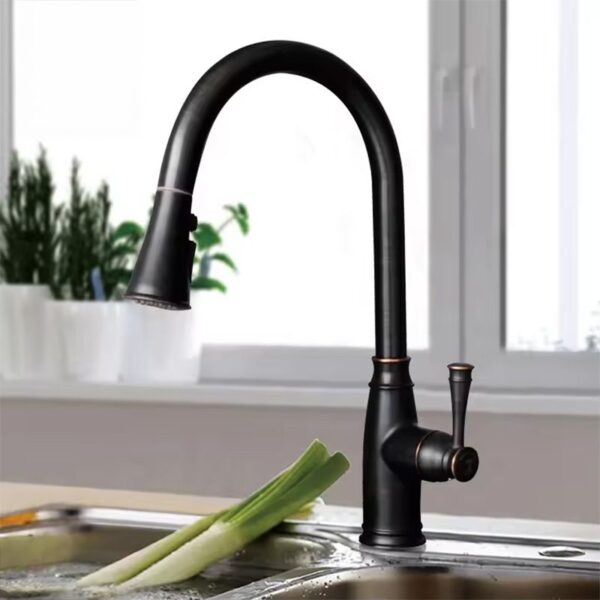 Robinet de cuisine Rea Deco Old Black High – Image 2